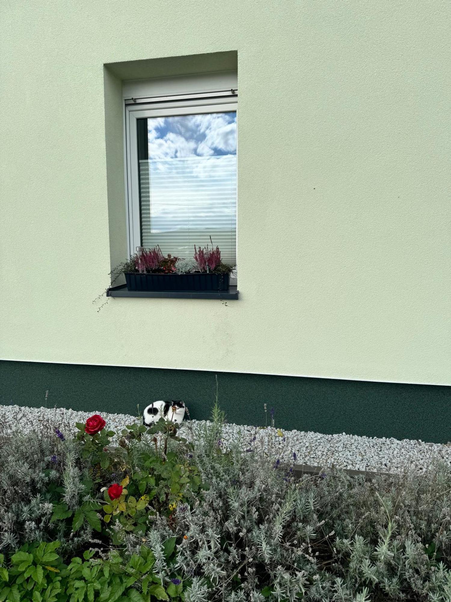 Apartment Viridi Radomierz